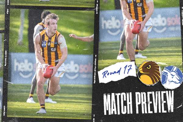 boxhillhawks.com.au