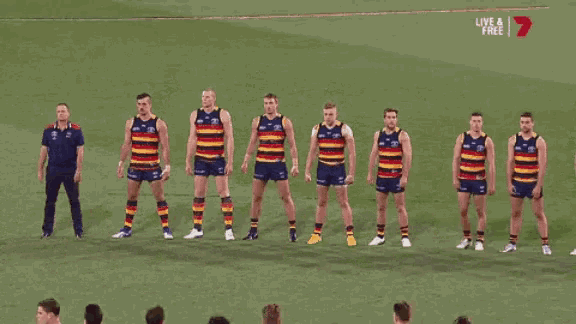 adelaide-crows.gif
