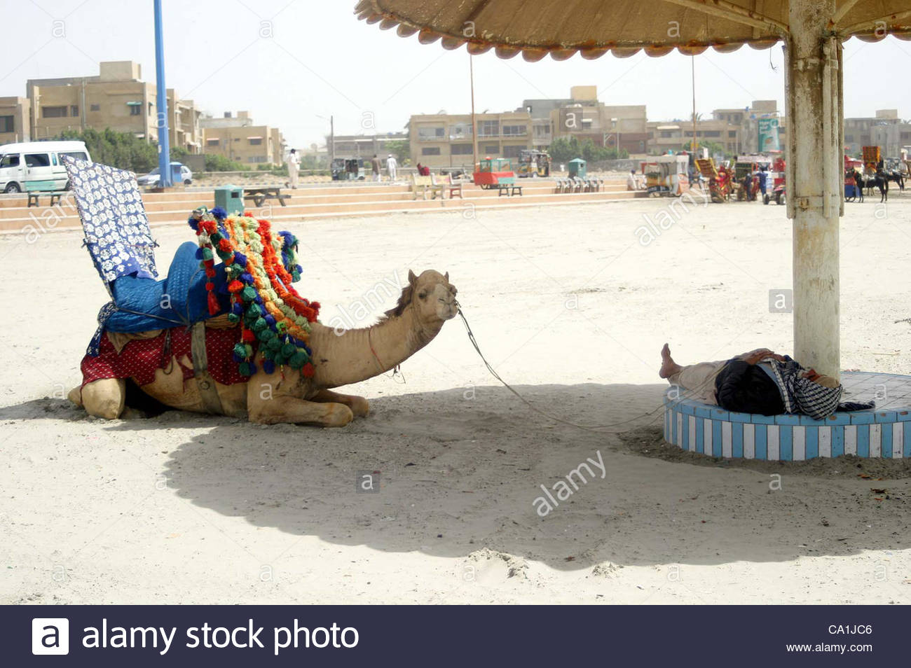 a-camel-rider-takes-nap-at-seaview-beach-in-karachi-on-tuesday-march-CA1JC6.jpg