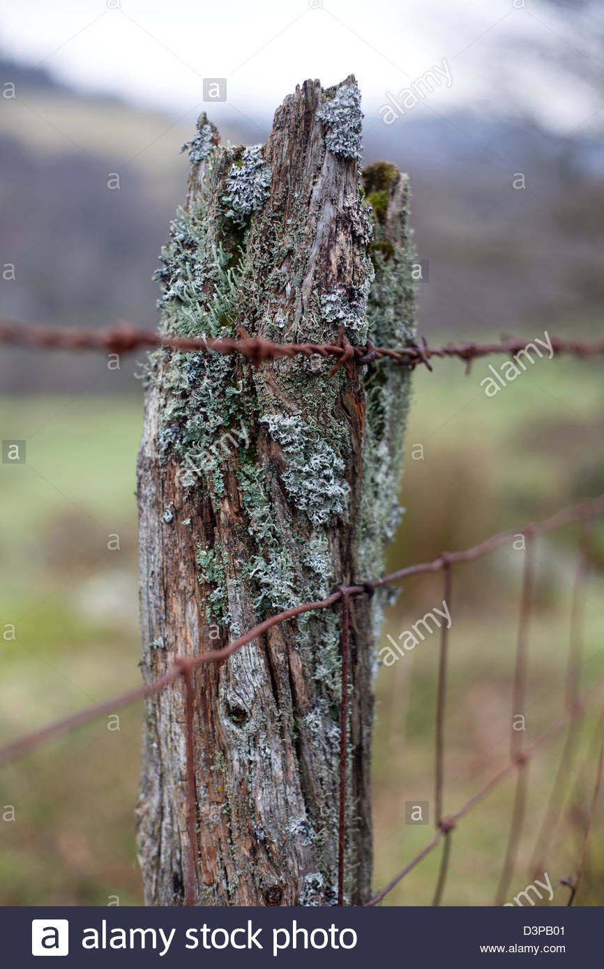 old-weathered-fence-post-and-barbed-wire-fence-lake-district-cumbria-D3PB01.jpg