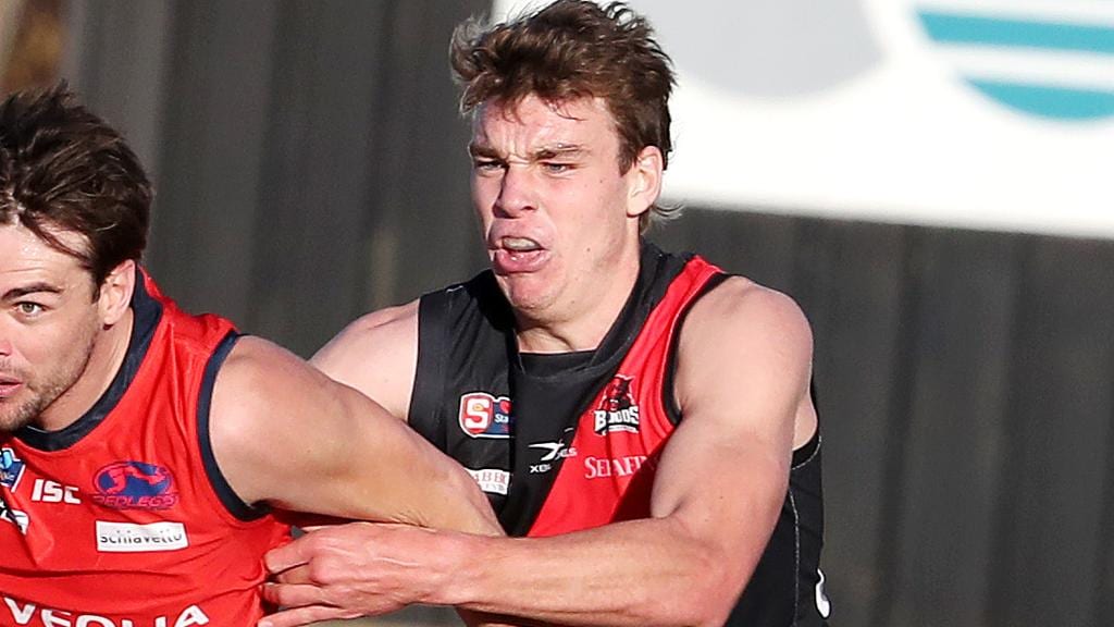 Plenty of clubs are tipped to be wild about Riley Thilthorpe. Picture: Sarah Reed