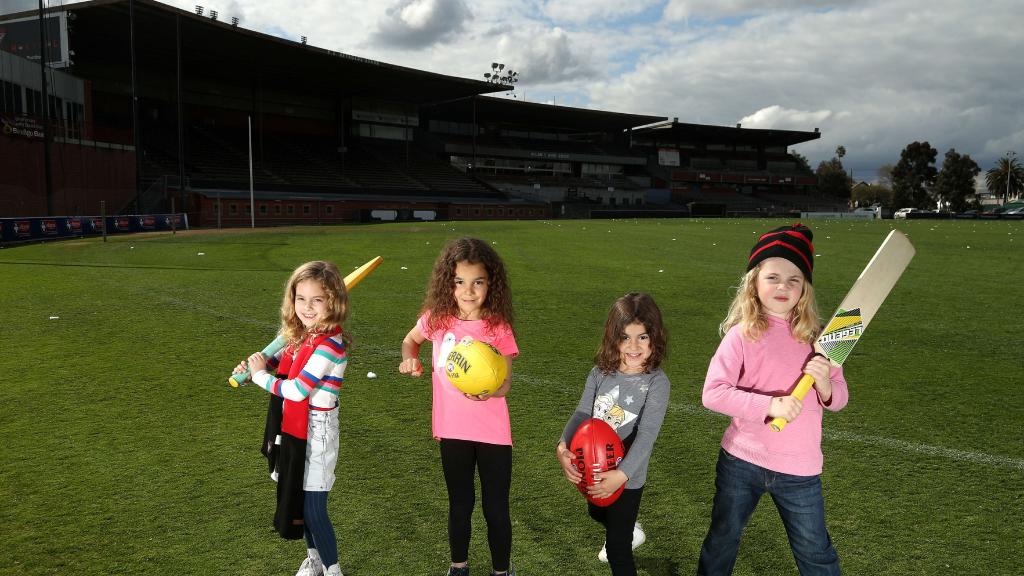 The grandstands, if knocked down, would make way for more open space for the community. Picture: Hamish Blair