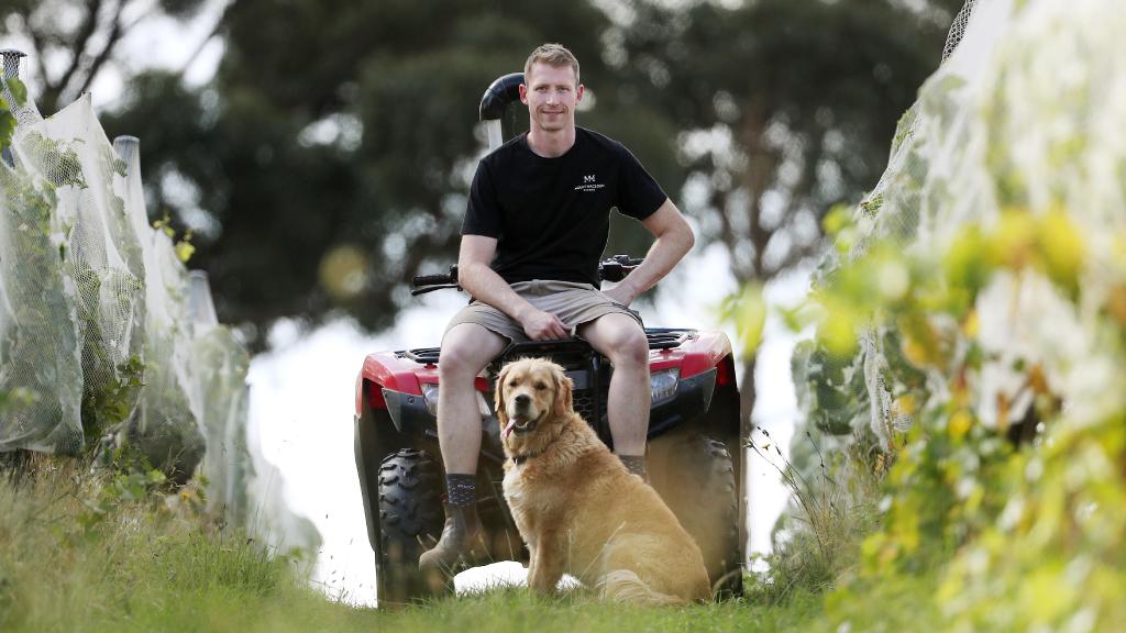 Two-time Richmond premiership player Dylan Grimes and dog Gus at his winery, Mount Macedon Winery. Picture: Michael Klein