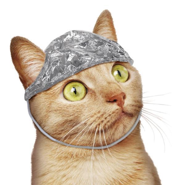 accoutrements-archie-mcphee-impulse-im-funny-stuff-tin-foil-hat-for-cats-funny-gag-gifts-30377777594529_600x.jpg
