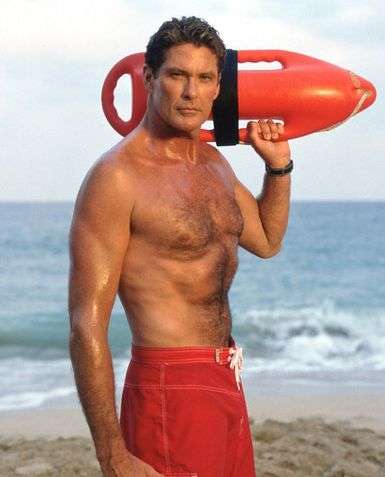 personalized-celebrity-posters-signed-poster-of-the-hoff.jpeg