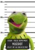 kermit mug.jpg