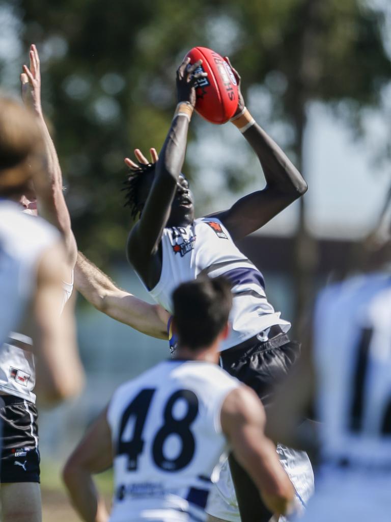 Northern Knights high-flyer Dominic Akuei is part of the Vic Metro squad. Picture: Valeriu. Campan