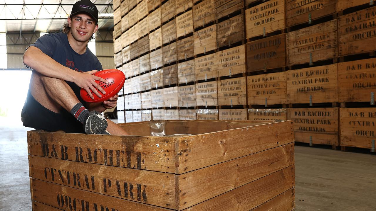 Adelaide bound? Josh Rachele at the family orchard in East Shepparton. Picture: Michael Klein