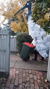 ABC Sydney - Bin chicken's bin isolation outing | Facebook