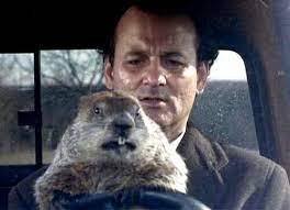 What We Can All Learn From Bill Murray's Time Use in Groundhog Day - The  Hutch