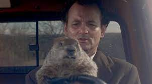 Viewing Party! Let's All Watch 'Groundhog Day' Together! - The New York  Times