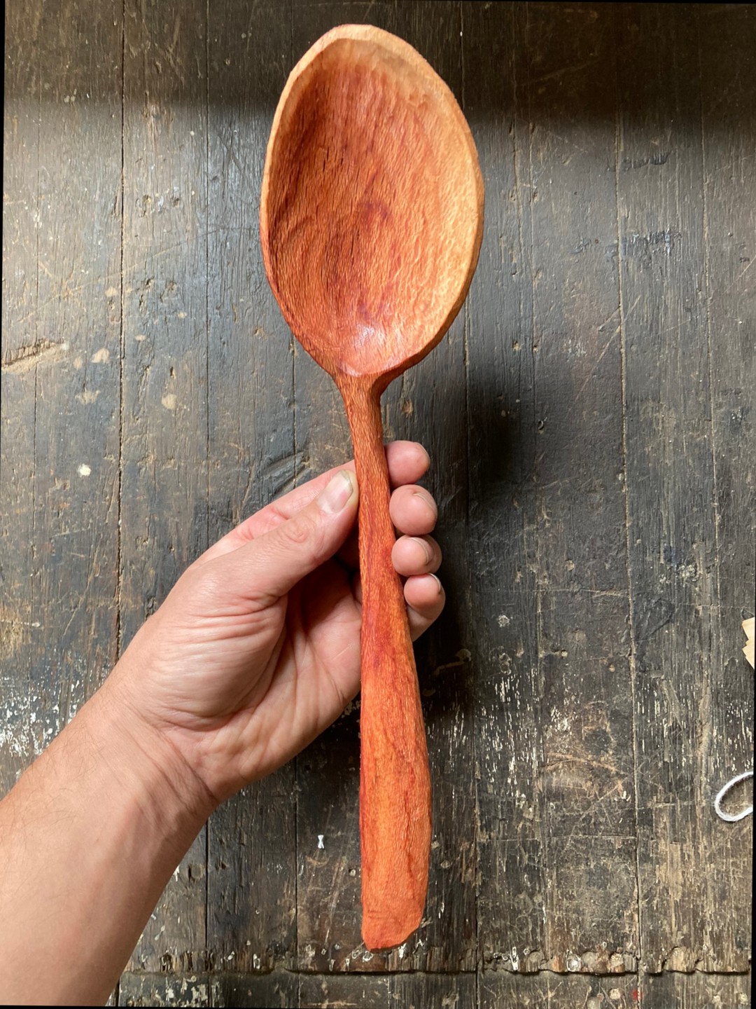 Eli-Beke-Serving-Spoon-in-Banksia-Wood-35x12x42022-Photo-Credit-Eli-Beke.jpg