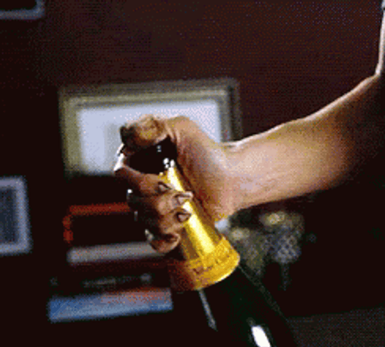 popping-sparkling-champagne-8u4k0kx5nw8ps5m3.gif