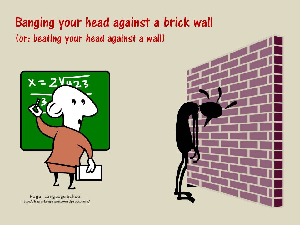 bang-head-against-wall.jpg