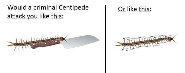 centipede-would-criminal-centipede-or-like-this-attack-like-this