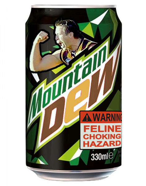 mountain-dew-citrus-blast-330ml.jpg