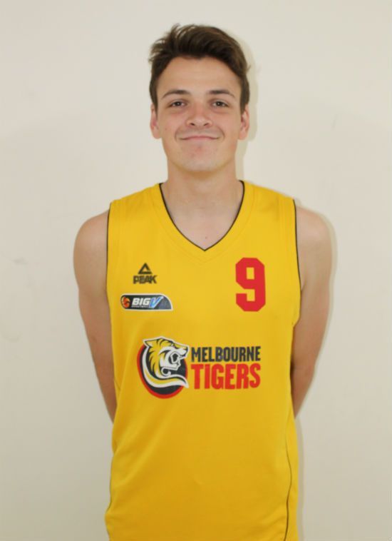 www.tigersbasketball.com.au