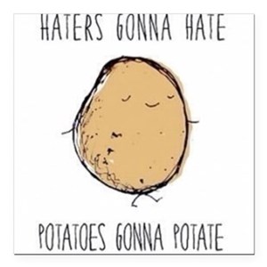 Haters_Gonna_Hate_Potatoes_Gonna_Potate_Square_Ca_300x300.jpg