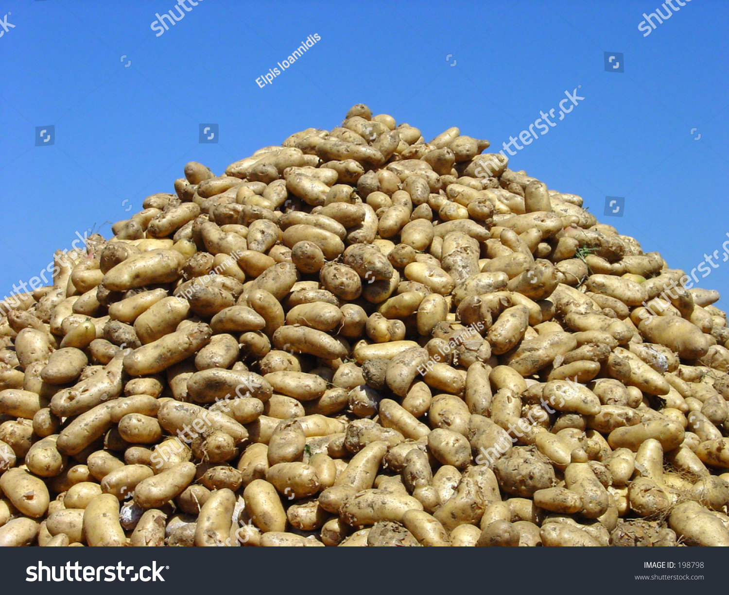 stock-photo-a-pile-of-potatoes-198798.jpg