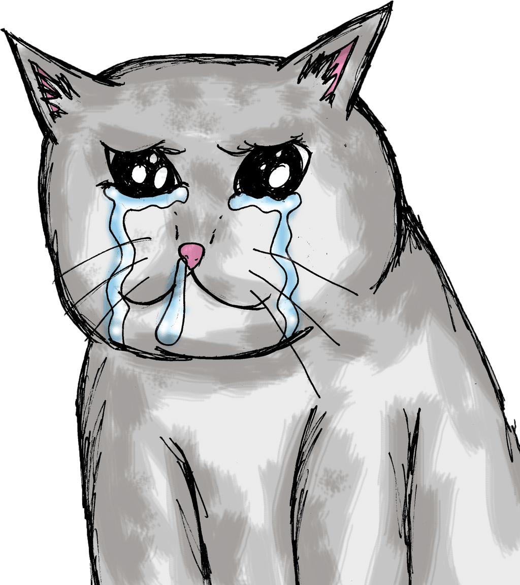 crying_cat_meme____by_gordonjugah_ddv75vl-fullview.png