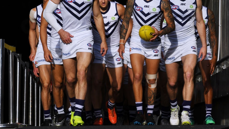 fremantle-dockers_1372zhxwbz3dyzkaiynxvjsa4.jpg