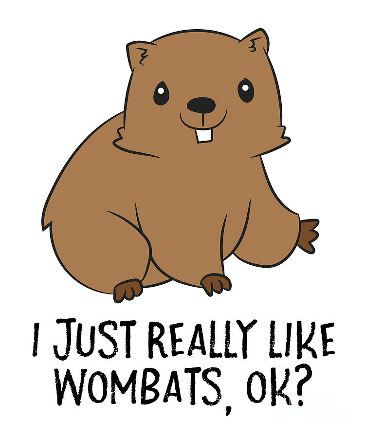 funny-wombats-i-just-really-like-wombats-ok-funny-wombat-eq-designs.jpg