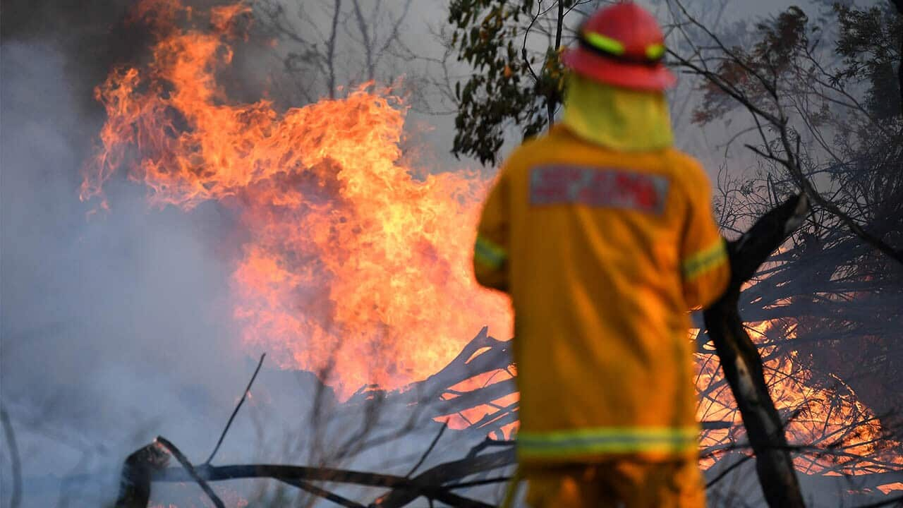 www.sbs.com.au