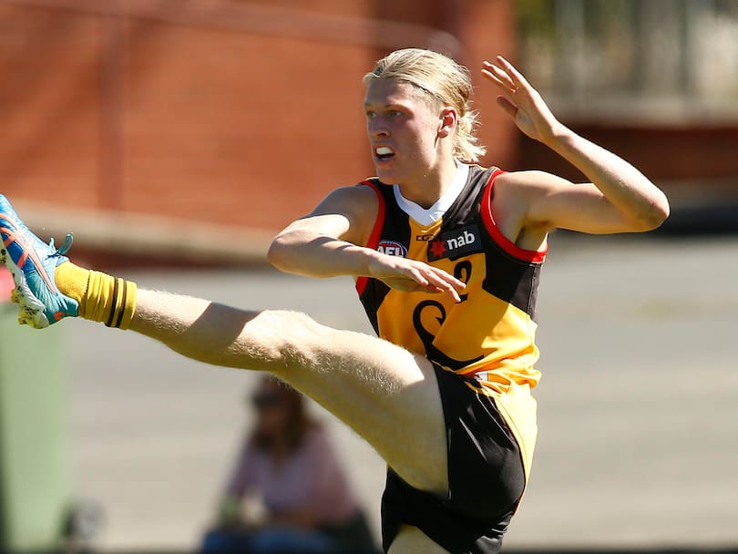 Hayden Young in action for the Dandenong Stingrays.