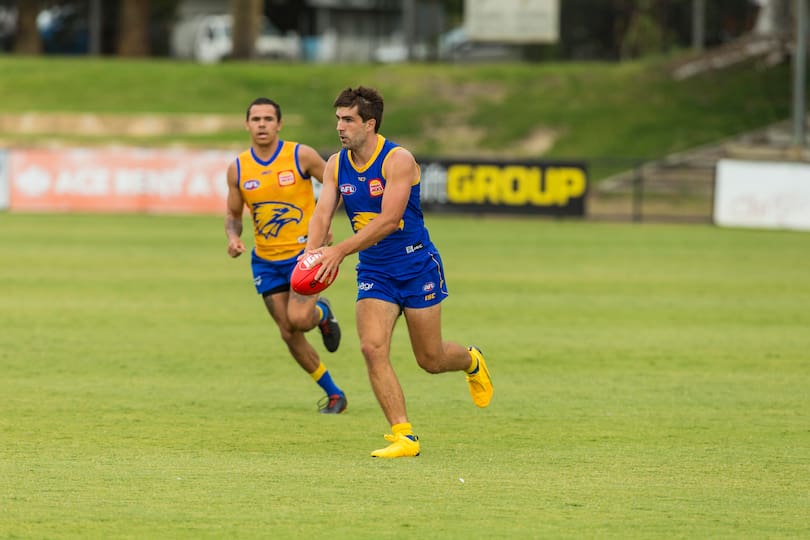 Andrew Gaff was part of an experienced midfield.