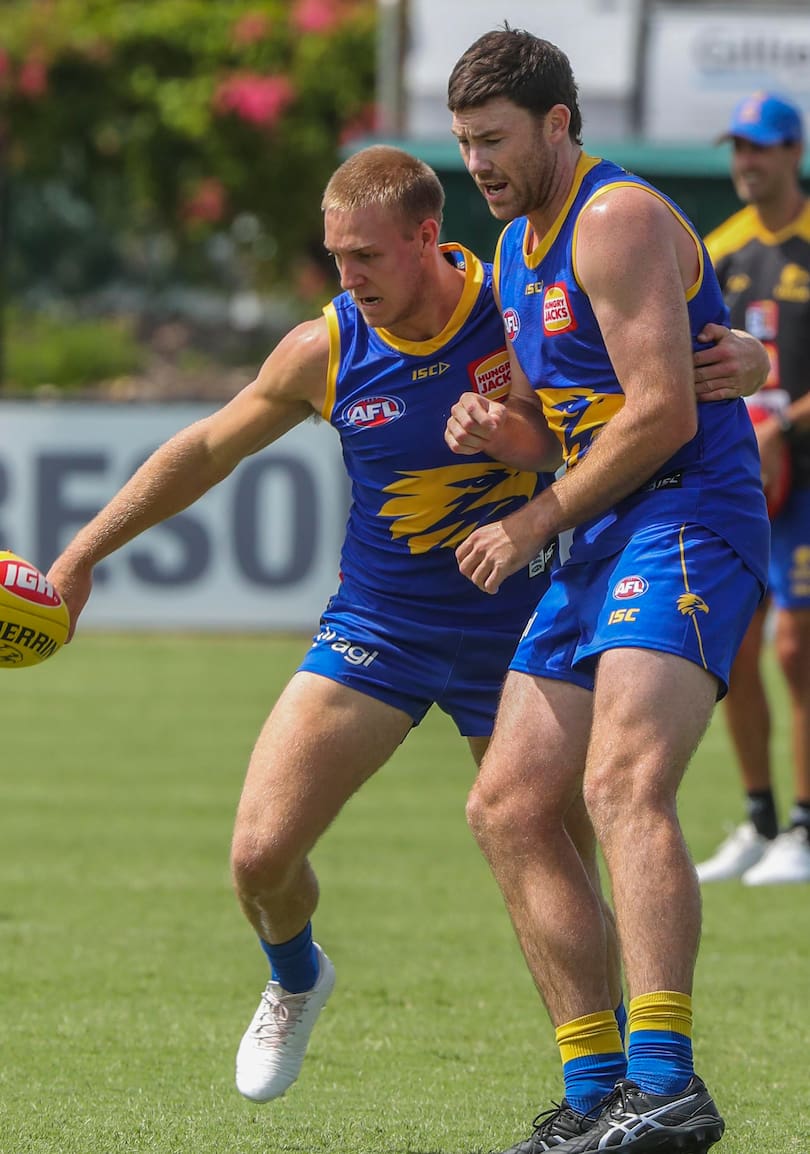 Oscar Allen, left and Jeremy McGovern tussle at training.