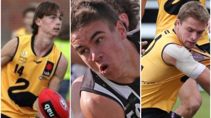 Sam Gilbey, Elijah Hewett and Jed Hagan are among WA's AFL Academy intake.