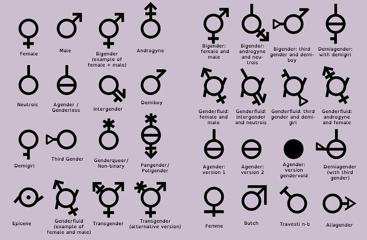 gender-chart.jpg