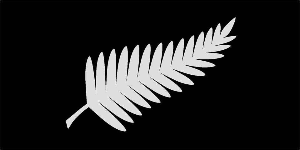 nz-flag-large-silver-fern-on-black1.jpg