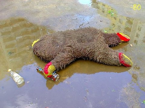 bizzarodrunkfunnymarmotstuffedanimalteddybear-69325ae1f181e906c03c27b5f56b88d8_h.jpg