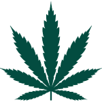 legalisecannabis.org.au