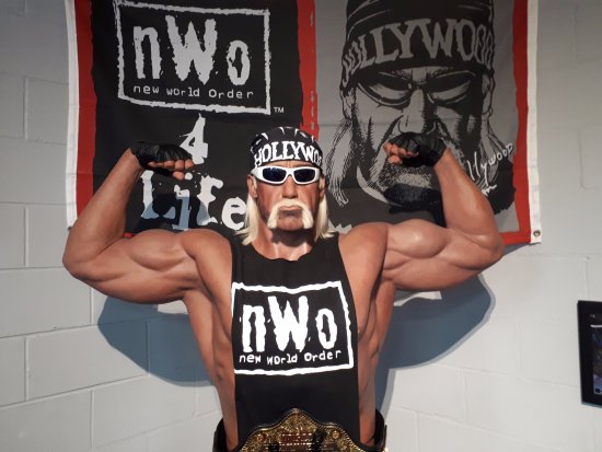 nwo-hollywood-hulk-hogan.jpg