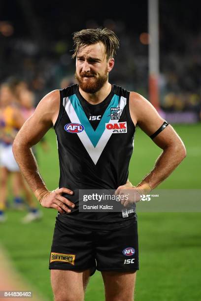 charlie-dixon-of-the-power-looks-on-dejected-after-the-afl-first-picture-id844836462