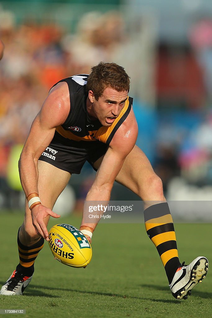 daniel-jackson-of-the-tigers-handballs-during-the-round-16-afl-match-picture-id173384132