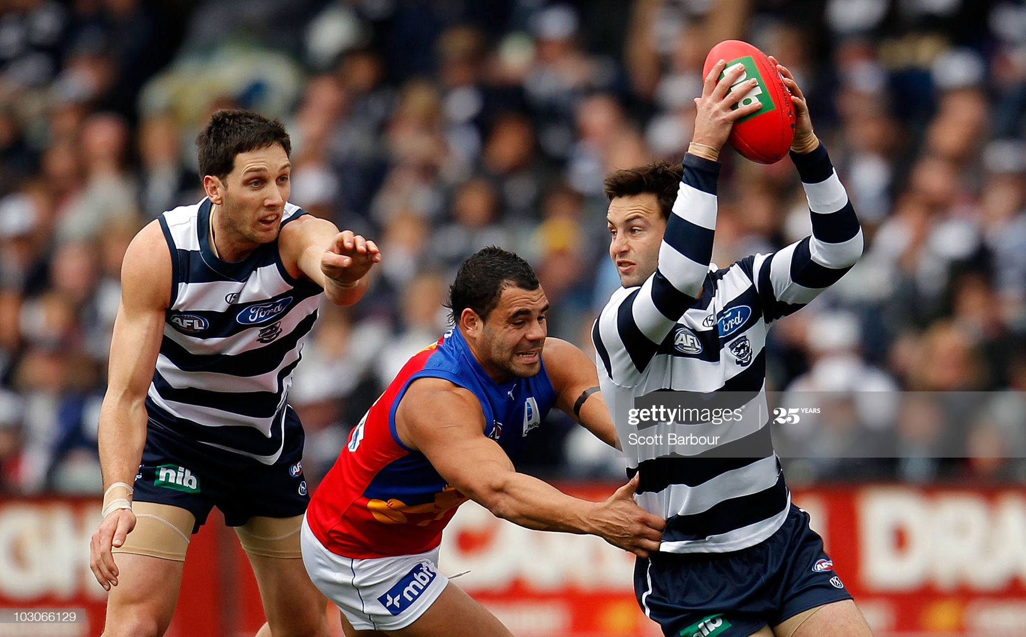 AFL Rd 17 - Cats v Lions : News Photo