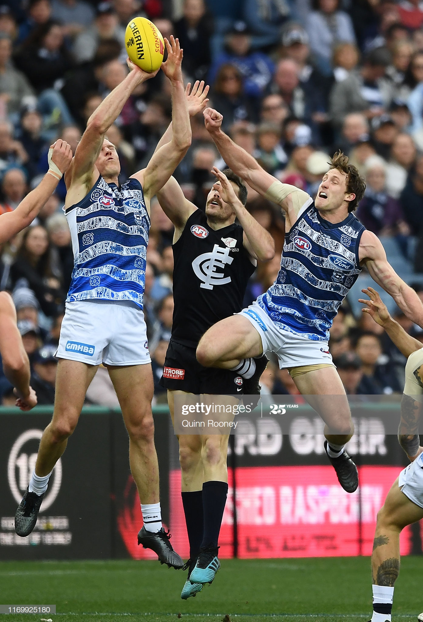 AFL Rd 23 - Geelong v Carlton : News Photo