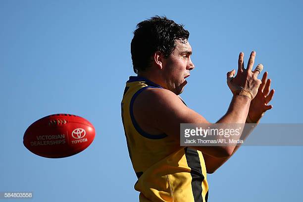 patrick-mccartin-of-sandringham-misses-a-mark-during-the-round-17-vfl-picture-id584803558