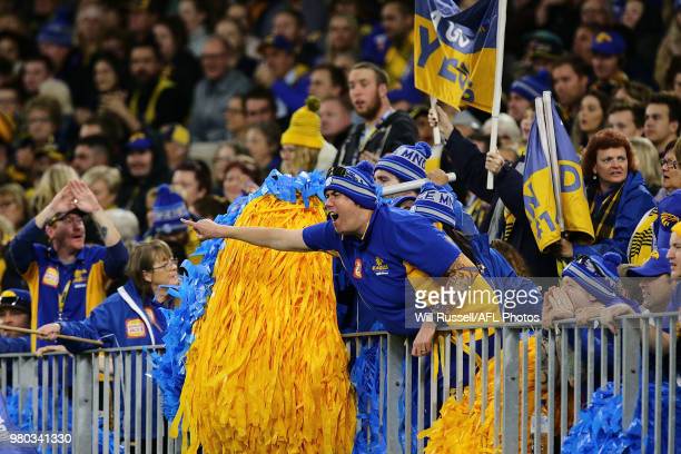 the-west-coast-cheer-squad-during-the-round-14-afl-match-between-the-picture-id980341330