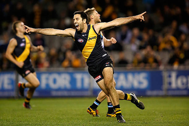 troy-chaplin-of-the-tigers-celebrates-a-goal-during-the-round-17-afl-picture-id452085516