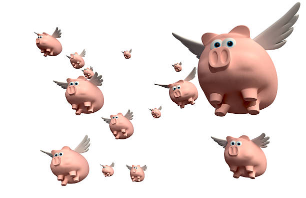 when-pigs-fly-group.jpg