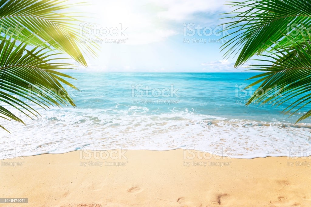 tropical-beach-background-picture-id1145474071
