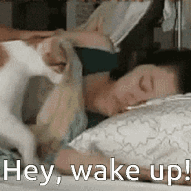 wake-up-wake.gif