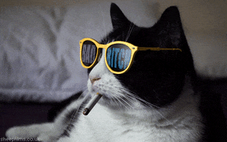 Cat Smoking GIF by sheepfilms