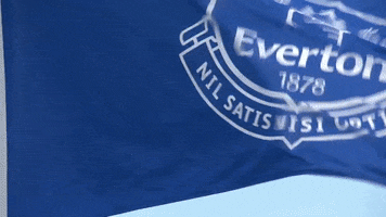 Everton Fc Flag GIF by Everton Football Club