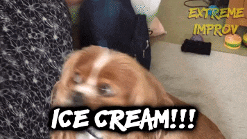 Ice Cream Dog GIF by Extreme Improv