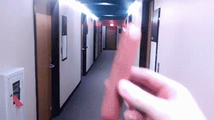 Image result for sausage down a hallway gif